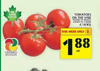 Food Basics Tomatoes On The Vine 4.14/kg offer