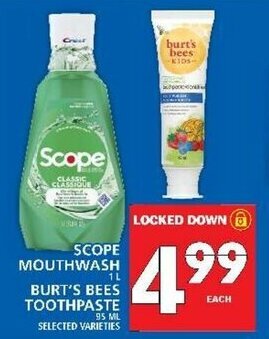 Food Basics Scope mouthwash offer