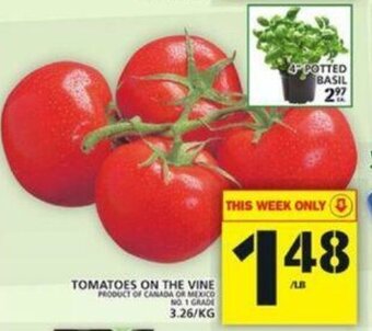 Food Basics Tomatoes On The Vine offer