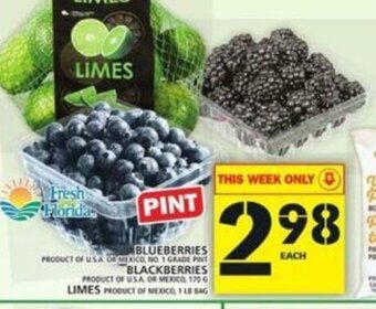 Food Basics Blueberries Blackberries offer