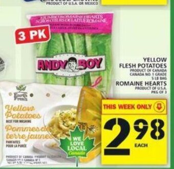 Food Basics Yellow Flesh Potatoes offer