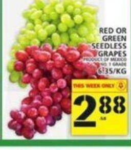 Food Basics Red Or Green Seedless Grapes offer