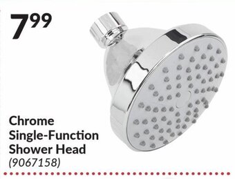 Princess Auto Chrome Single-Function Shower Head offer