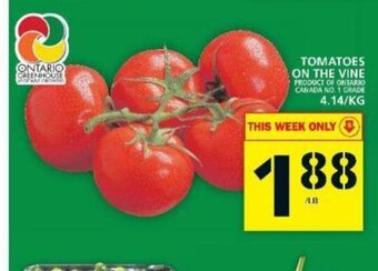 Food Basics Tomatoes On The Vine offer