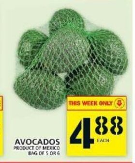 Food Basics Avocados offer