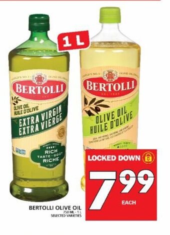 Food Basics Bertolli Olive Oil offer
