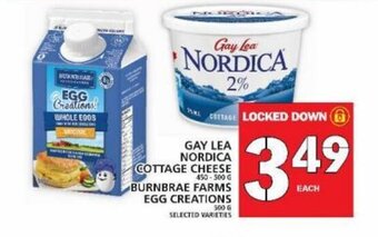 Food Basics Gay lea nordica cottage cheese offer