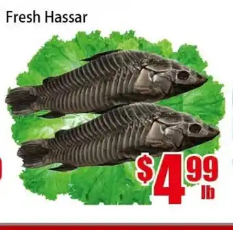 New Pacific Supermarket Fresh Hassar offer