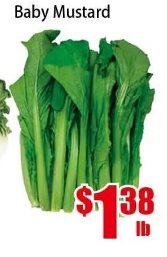 New Pacific Supermarket Baby Mustard offer