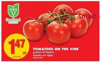 No Frills Tomatoes On The Vine offer