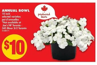 No Frills Annual Bowl offer