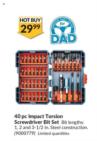 Princess Auto 40 pc impact torsion screwdriver bit set offer