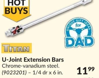 Princess Auto Titan U-Joint Extension Bars offer