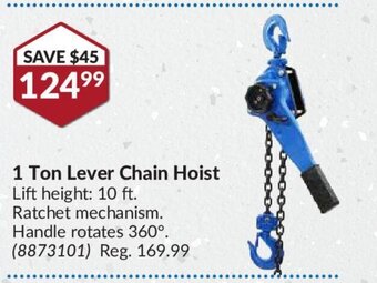 Princess Auto 1 Ton Lever Chain Hoist offer