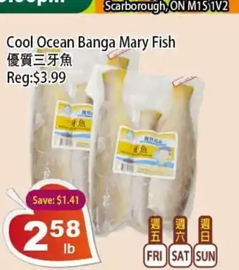 Cool Ocean Banga Mary Fish