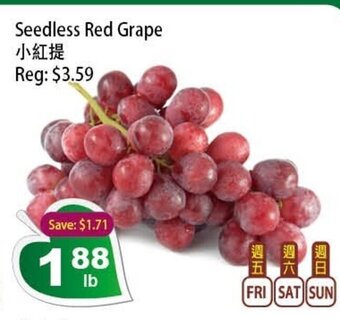 Seedless Red Grape
