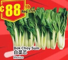 Terra Foodmart Bok Choy Sum offer