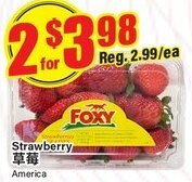 Terra Foodmart Strawberry offer