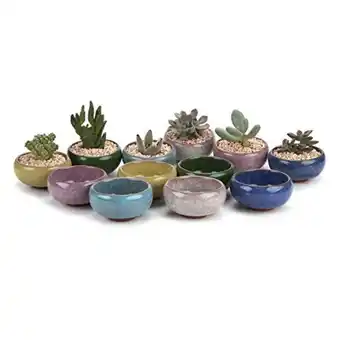 T4u 2 inch tiny ceramic ice crack zisha serial succulent plant pot/cactus plant pot flower pot/container/planter full colors 