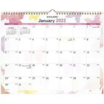 Amazon 2022 wall calendar by at-a-glance, 15" x 12", medium, monthly, watercolors (pm91-707) offer