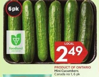 Foodland Mini Cucumbers offer