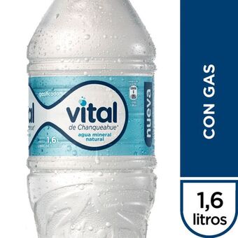 Santa Isabel Agua mineral con gas 1.6 l oferta