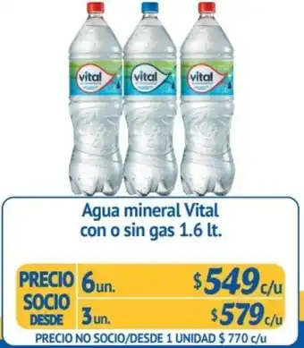 Alvi Agua Meniral Vital con o Sin Gas 6x1,6lt oferta