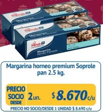 Alvi Margarina Horneo Premium Soprole Pan 2un x 2,5kg oferta