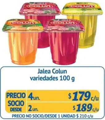 Alvi Jalea Colun Variedades 4un. x 100g oferta