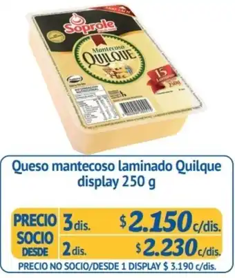Alvi Queso Mantecoso Laminado Quilque Display 2dis. x 250g oferta
