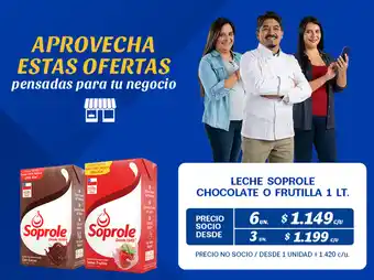 Alvi Leche Soprole Chocolate o Frutilla 6 x 1lt oferta