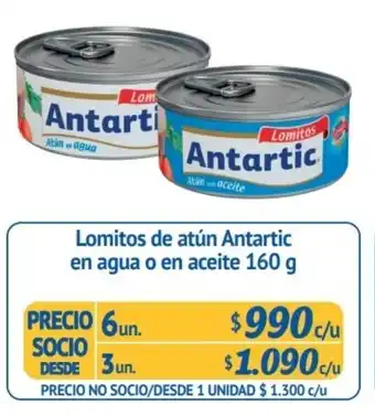 Alvi Lomitos de Atún Antartic en agua o en aceite 6 un x 160g oferta