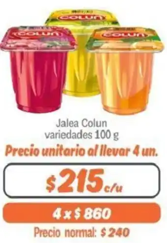 Mayorista 10 Jalea Colun 100g oferta