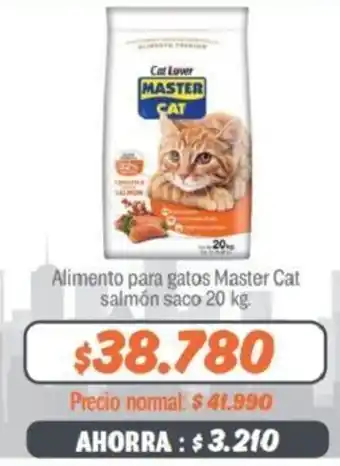 Mayorista 10 Alimento para Gatos Master Cat Salmón 20kg oferta