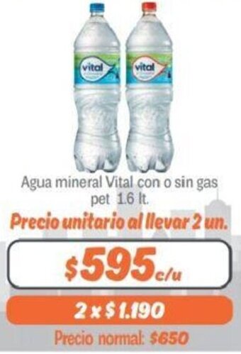 Mayorista 10 Agua Mineral Vital con o sin Gas pet 1,6lt oferta