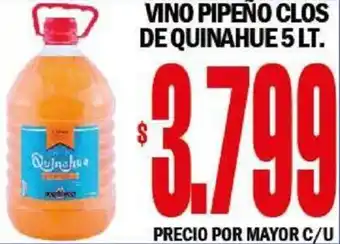 Vino Pipeño Clos de Quinahue 5lt