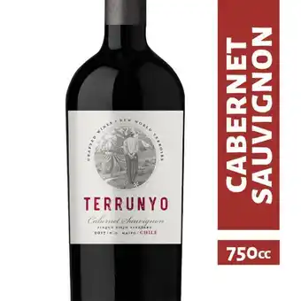 Falabella Vino tinto cabernet sauvignon - 750 cc oferta