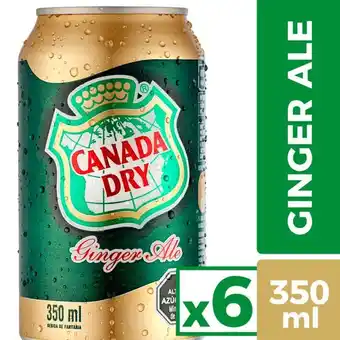 Santa Isabel Pack 6 un. bebida ginger ale lata 350 ml oferta
