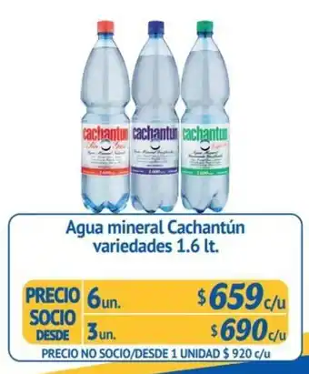 Alvi Cachantun Agua mineral variedades 1.6 lt oferta
