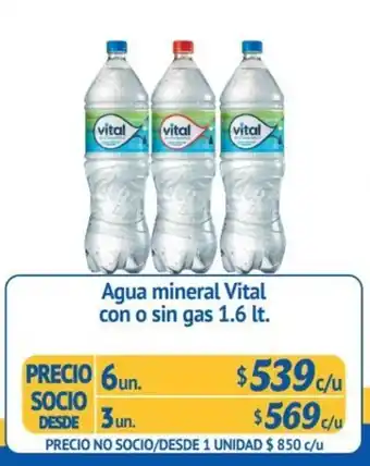 Alvi Vital Agua Mineral con o sin gas 1.6 lt oferta