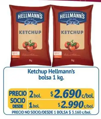 Alvi Hellmann's Ketchup bolsa 1 kg oferta