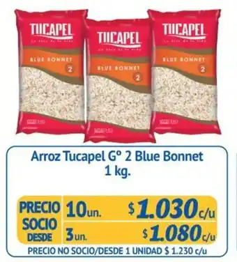 Alvi Tucapel Arroz G° 2 Blue Bonnet 1 kg oferta