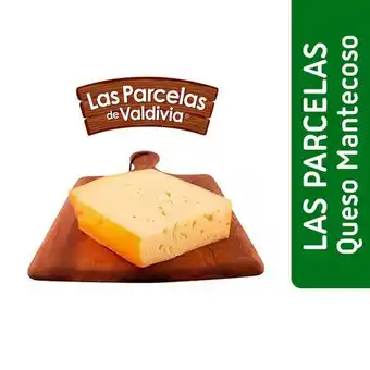 Santa Isabel Queso mantecoso las parcelas de valdivia oferta