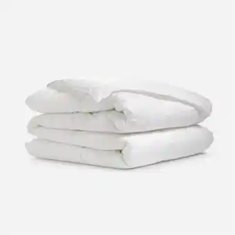 Rosen Plumón microfibra renew 1 plaza oferta