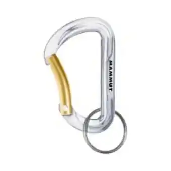 Outlet Surprice Llavero mammut mini biner element oferta