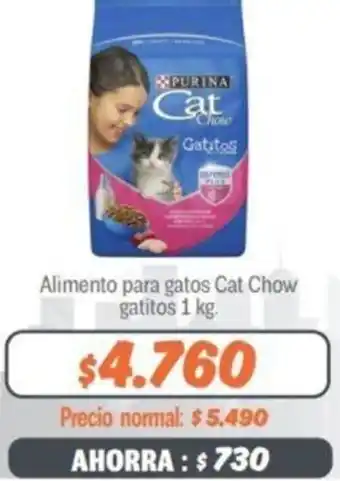 Mayorista 10 Alimento para Gatos Cat Chow Gatitos 1kg oferta