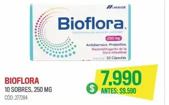 Bioflora 10 sobres, 250 mg
