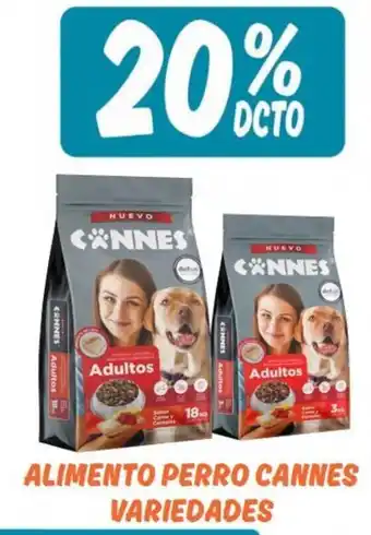 Mayorista 10 Alimento Perro Cannes Variedades oferta
