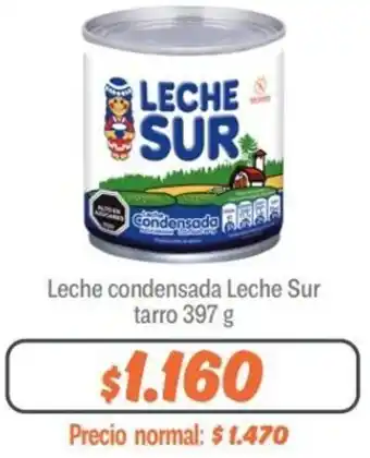 Mayorista 10 Leche Condensada Leche Sur Tarro 397g oferta