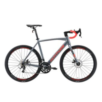 Sparta Bicicleta ruta altitude nekul gris/roja oferta